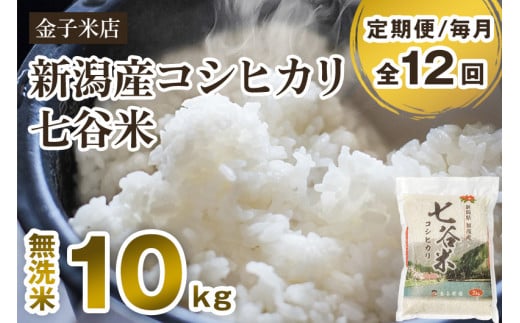 【令和6年産新米】【定期便12ヶ月毎月お届け】新潟県産 コシヒカリ「七谷米」無洗米 10kg（5kg×2）従来品種 窒素ガス充填パックで鮮度長持ち 老舗米穀店が厳選 金子米店 お米 米 定期便