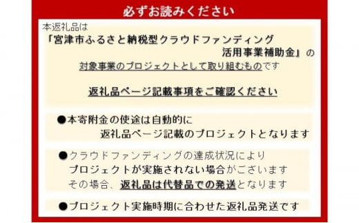 CF2 干し芋 25年発送分受付_紅はるかの干し芋150g×4 さつまいも サツマイモ 紅はるか ねっとり 自家栽培 宮津市 京都府[№5716-0678]