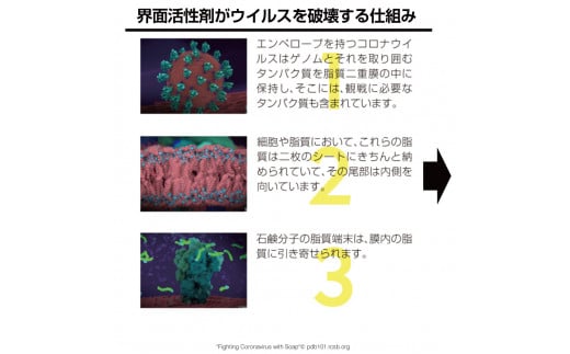 アニオン空気清浄機コロコロ 10畳用 交換用フィルター付き