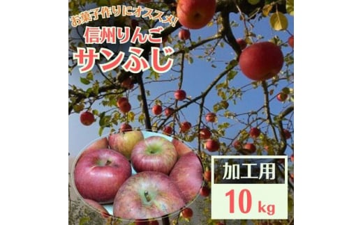 信州りんご 加工用 10kg サンふじ_ りんご ふじ サンふじ リンゴ 林檎 加工用 調理用 ジャム ジュース コンポート アップルパイ 訳あり 信州 長野県 産地直送 不揃い 傷 家庭用 自宅用 10kg 秋 冬 くだもの 果物 果実 フルーツ 送料無料 【1508406】