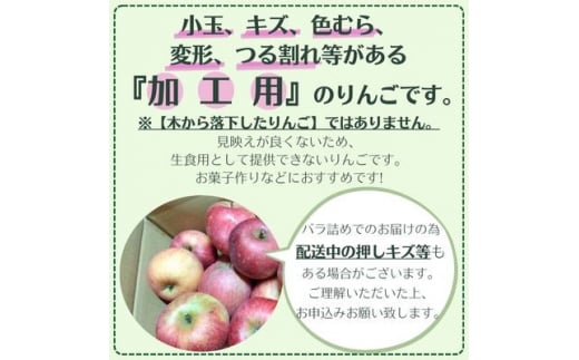 信州りんご 加工用 10kg サンふじ_ りんご ふじ サンふじ リンゴ 林檎 加工用 調理用 ジャム ジュース コンポート アップルパイ 訳あり 信州 長野県 産地直送 不揃い 傷 家庭用 自宅用 10kg 秋 冬 くだもの 果物 果実 フルーツ 送料無料 【1508406】