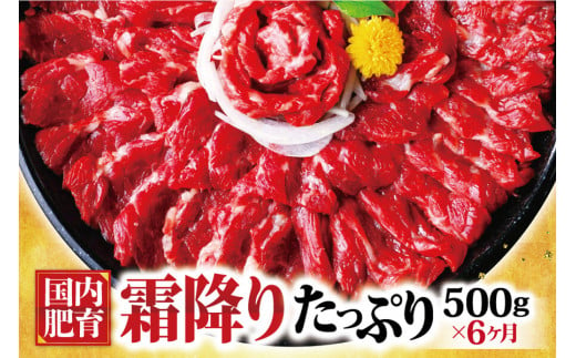 熊本馬刺し 霜降り たっぷり約500g(約50g×10パック)専用醤油付き