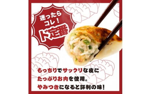 【大阪名物】大阪ふくちぁん餃子 冷凍生餃子 288個 ［36個入×8セット］