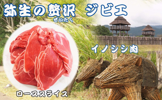 脊振ジビエ イノシシ肉(ローススライス肉)800g 【佐賀 佐賀県産 猪 ロース バラ 焼肉 しゃぶしゃぶ 鍋物】(H072118)