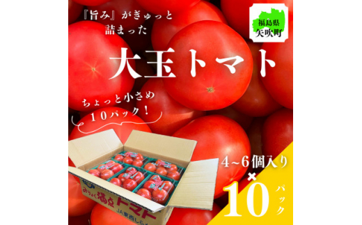 ミネラル豊富な畑から採れた大玉だけどちょっと小ぶりなトマト!＜4～6個入り×10パック＞【1525332】