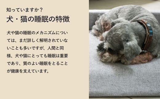 NOMIN ペットベッド 大日方久美子コラボ ブラウン/ ペット用品 犬 猫 体圧分散 丸洗い可能 シニア 防臭 おしゃれ 通気性 ペット 日用品 ブレインスリープ