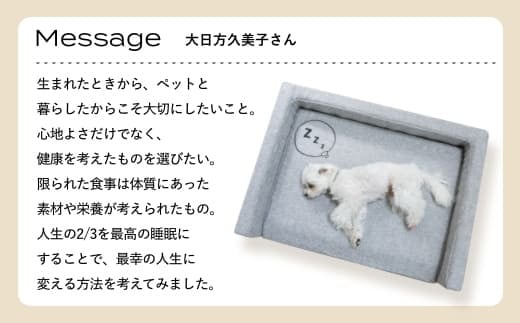 NOMIN ペットベッド 大日方久美子コラボ ブラウン/ ペット用品 犬 猫 体圧分散 丸洗い可能 シニア 防臭 おしゃれ 通気性 ペット 日用品 ブレインスリープ