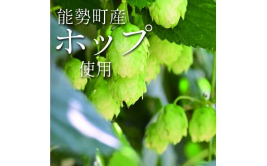 ＜数量限定＞能勢町産クラフトビール「銀寄エール」3本セット【1286572】