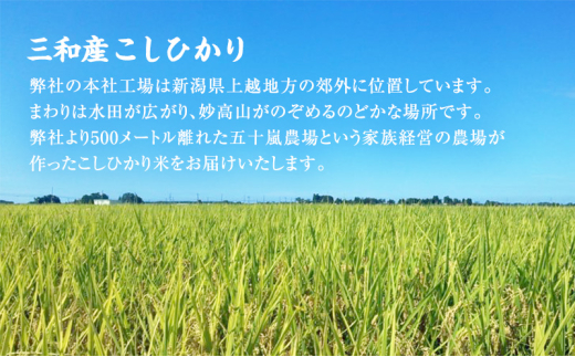 新潟おいしい朝ごはんセットA (越後みそのあおき印つぶ900g1袋と上越三和産こしひかり5kg) 朝ごはん 米