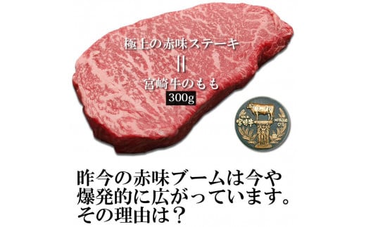 宮崎牛赤身ステーキ(300g・150g×2)牛肉 精肉 お肉 黒毛和牛 ブランド和牛 お取り寄せ 国産 冷凍 宮崎県【SG001】【株式会社SHINGAKI】