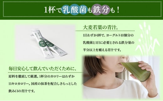 かぜに改源でおなじみの製薬会社がお届けする「 乳酸菌 のまろやか 青汁 」90g（3g×30包）