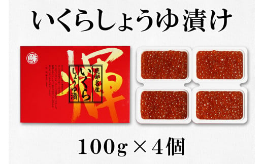 【丸鮮道場水産 】名百貨店でも人気の北海道産魚卵3点詰合せ（L）（計800g）タラコ イクラ 明太子