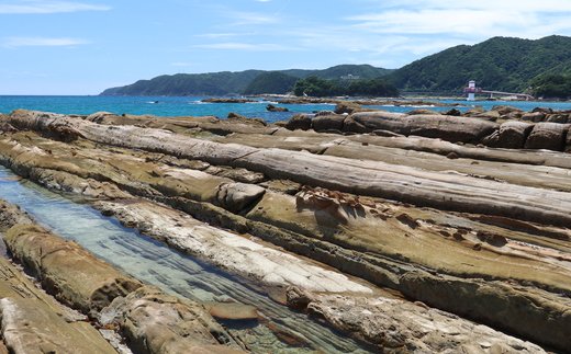 竜串（たつくし）の奇岩