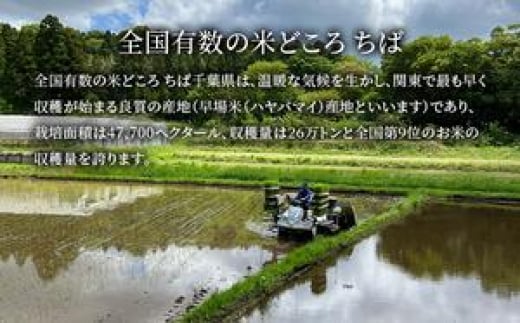 【3ヶ月連続定期便】千葉産 令和6年  特別栽培米ミルキークィーン 乾式無洗米 10kg（5kg×2）×3ヶ月【定期便 お米 ご飯 モチモチ 粘り お弁当 おにぎり】 [№5346-0177]