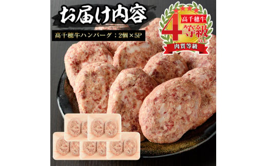 高千穂牛 ハンバーグ(計10個・2個×5P)国産 宮崎県産 宮崎牛 牛肉 ハンバーグ 焼くだけ 便利 霜降り A4 和牛 ブランド牛【MT005】【JAみやざき 高千穂牛ミートセンター】