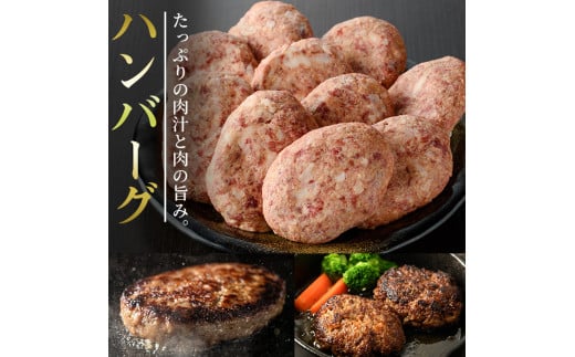 高千穂牛 ハンバーグ(計10個・2個×5P)国産 宮崎県産 宮崎牛 牛肉 ハンバーグ 焼くだけ 便利 霜降り A4 和牛 ブランド牛【MT005】【JAみやざき 高千穂牛ミートセンター】