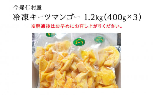 はしっこ冷凍マンゴー（キーツ）1.2kg（400g×3）【訳ありお徳用パック】【家庭用】【生産者応援】