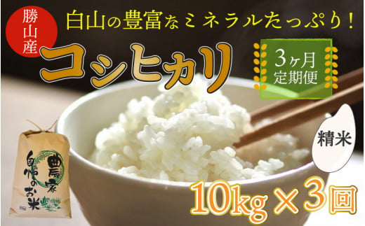 【先行予約】《定期便3回》家事をもっと楽に！ 令和6年産 新米 コシヒカリ定期便（精米済み）10kg×3回（計30kg） ※2024年10月上旬より順次発送 [C-009014]