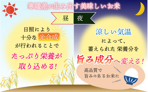 【先行予約】《定期便3回》家事をもっと楽に！ 令和6年産 新米 コシヒカリ定期便（精米済み）10kg×3回（計30kg） ※2024年10月上旬より順次発送 [C-009014]