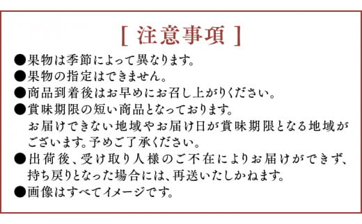 《 凛々堂 》 フルーツ大福 8個入り 詰合せ フルーツ 果物 旬 デザート 和菓子 スイーツ 大福 高級 お取り寄せ 餅 贈答 冷蔵 新鮮 ギフト