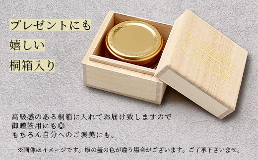 【世界三大珍味×日本三大秘境】HEIKE CAVIAR  ワインキャビア 20g ブリニセット【産地直送】【桐箱入り】［宮崎 椎葉 国産 チョウザメ ワイン キャビア きゃびあ 5g 魚卵 卵 クリーミー お酒 魚介 珍味 加工品 冷凍 高級 高級品 贅沢 お取り寄せ ディナー パーティー おつまみ グルメ ギフト 記念日 誕生日 プレゼント お祝い 贈り物 贈答 桐箱 希少］【SZ-130】