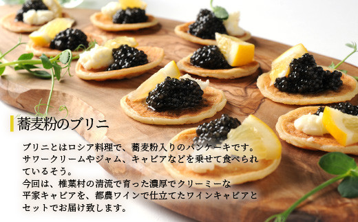 【世界三大珍味×日本三大秘境】HEIKE CAVIAR  ワインキャビア 20g ブリニセット【産地直送】【桐箱入り】［宮崎 椎葉 国産 チョウザメ ワイン キャビア きゃびあ 5g 魚卵 卵 クリーミー お酒 魚介 珍味 加工品 冷凍 高級 高級品 贅沢 お取り寄せ ディナー パーティー おつまみ グルメ ギフト 記念日 誕生日 プレゼント お祝い 贈り物 贈答 桐箱 希少］【SZ-130】