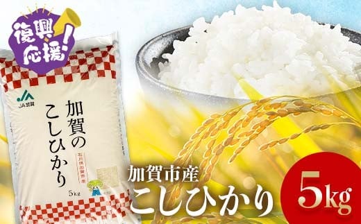 2025年7月発送】お米 千葉県産 無洗米 2kg 2点セットC(無洗米