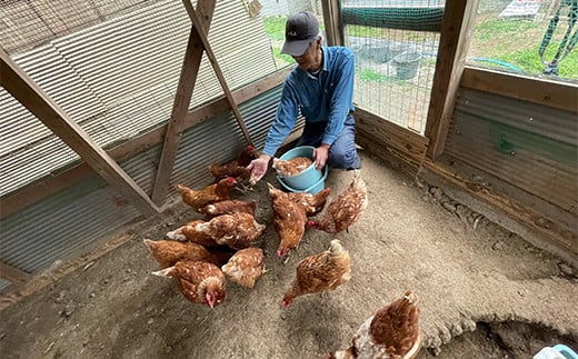 かわべさんちの平飼いたまご 25個（プラス割れ保障 5個） 計30個 卵 玉子 たまご 生卵 F21K-349