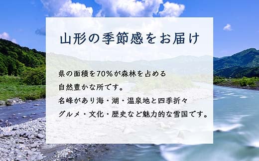 《先行予約 2024年度発送》ラフランス 西洋梨 約5kg 約10玉～約16玉  なし ナシ 梨 デザート フルーツ 果物 くだもの 果実 食品 山形県 FSY-1233