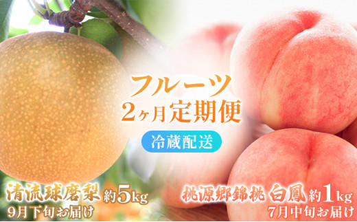 定期便 2回 先行予約 【 桃 白桃 7月頃 梨 9月頃 】白鳳 特製桃源郷錦 約1kg、清流錦梨 約5kg もも モモ なし フルーツ 果物 デザート お楽しみ 2024年発送 配送不可:離島