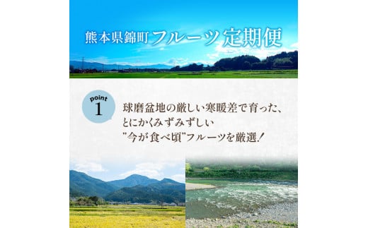 定期便 2回 先行予約 【 桃 白桃 7月頃 梨 9月頃 】白鳳 特製桃源郷錦 約1kg、清流錦梨 約5kg もも モモ なし フルーツ 果物 デザート お楽しみ 2024年発送 配送不可:離島