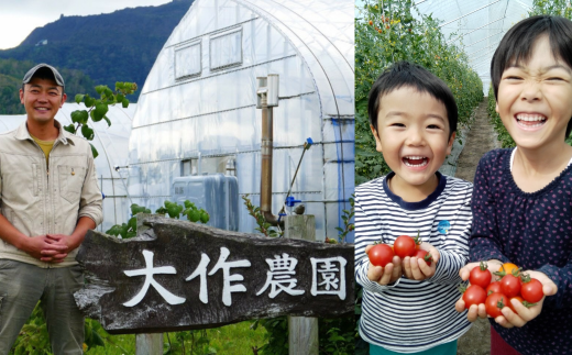 北海道壮瞥産 大作農園の「カラフルミニトマト」約500g（5種以上）とセミドライトマトオイル漬け1瓶（110g）のセット【 ふるさと納税 人気 おすすめ ランキング トマト とまと ミニトマト アイコ オイル漬け 野菜 甘い パスタ サラダ 北海道 壮瞥町 送料無料 】 SBTR008