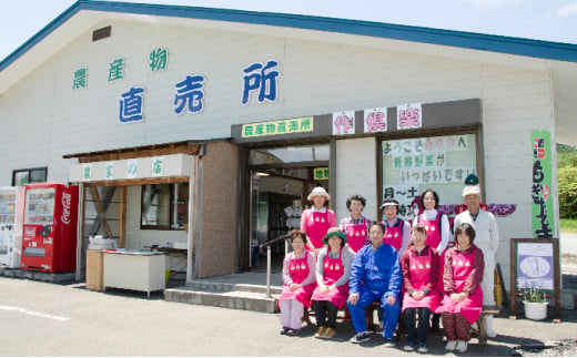 野菜 北海道 おまかせ 旬 野菜セット 南ふらの町 産地直送 旬の野菜 詰め合わせ セット ミニトマト きゅうり ズッキーニ なす とうもろこし ピーマン 夏野菜 夏 秋 2025年発送