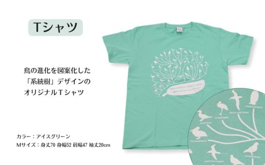 鳥の博物館オリジナルTシャツとグッズのセット（M／アイスグリーン）