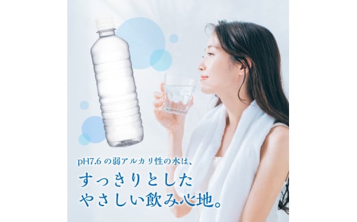 【12ヶ月定期便】富士山蒼天の水 500ml×48本（2ケース）ラベルレス 天然水 ミネラルウォーター 水 ペットボトル 500ml バナジウム天然水 飲料水 軟水 鉱水 国産 シリカ ミネラル 美容 備蓄 防災 長期保存 富士山 山梨県 忍野村※沖縄県、離島不可