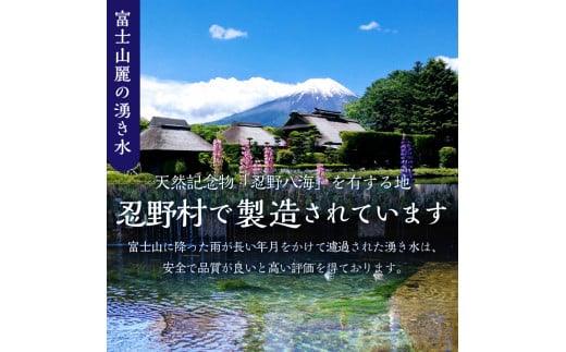 【12ヶ月定期便】富士山蒼天の水 500ml×48本（2ケース）ラベルレス 天然水 ミネラルウォーター 水 ペットボトル 500ml バナジウム天然水 飲料水 軟水 鉱水 国産 シリカ ミネラル 美容 備蓄 防災 長期保存 富士山 山梨県 忍野村※沖縄県、離島不可