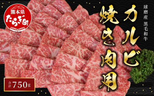 球磨産黒毛和牛 カルビ焼き肉用  750g