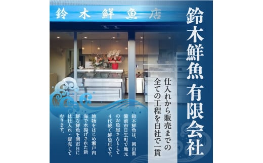 【訳あり】穴子 国産 焼穴子 炭火焼 6～12本入（400g前後） タレ付き