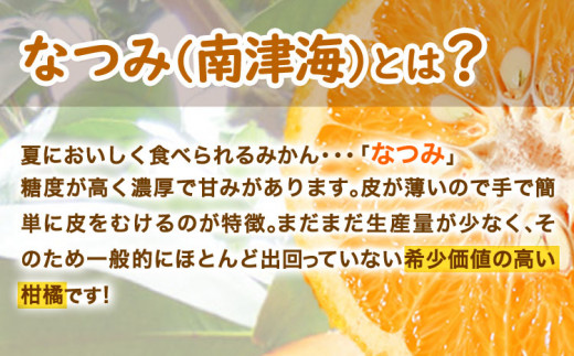 ＜先行予約＞初夏のみかん なつみ約5kg 株式会社 魚鶴商店《2025年4中旬-5上旬頃出荷》 和歌山県 日高町 みかん なつみ 南津海 柑橘 果物 フルーツ 送料無料