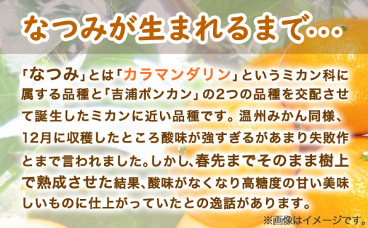 ＜先行予約＞初夏のみかん なつみ約5kg 株式会社 魚鶴商店《2025年4中旬-5上旬頃出荷》 和歌山県 日高町 みかん なつみ 南津海 柑橘 果物 フルーツ 送料無料