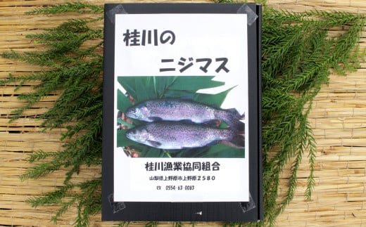 山梨県産　桂川の冷凍ニジマス　計:約2.2kg(約20～22尾)