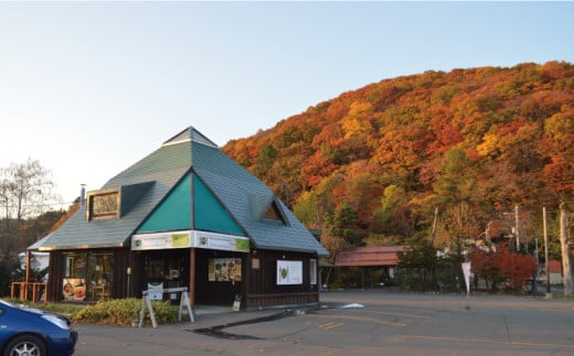 北海道産ホタテのカレーとチーズナンのセット　C109