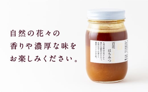 上村養蜂場 国産100％純粋百花蜂蜜 大瓶 600g