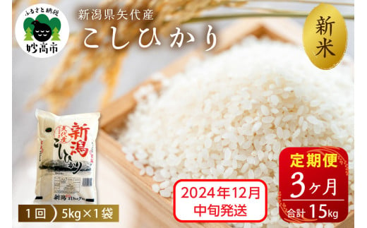 【2024年12月中旬発送】【定期便】令和6年産 新潟県矢代産コシヒカリ5kg×3回（計15kg）