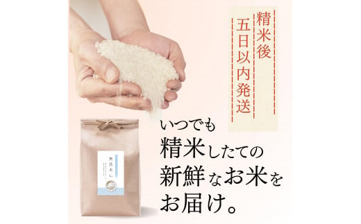  【定期便】 5kg 【6ヵ月連続お届け】 計30kg 広島県産 無洗米 ラクしても美味しさそのまま お米マイスター厳選