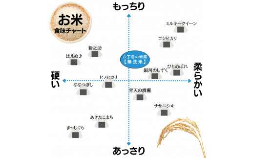  【定期便】 5kg 【6ヵ月連続お届け】 計30kg 広島県産 無洗米 ラクしても美味しさそのまま お米マイスター厳選