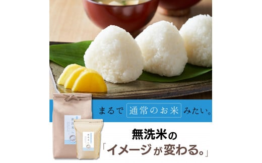  【定期便】 5kg 【6ヵ月連続お届け】 計30kg 広島県産 無洗米 ラクしても美味しさそのまま お米マイスター厳選