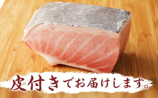 【定期便3回】長崎県産 本マグロ（養殖）大トロ 皮付き 約600g 生食用