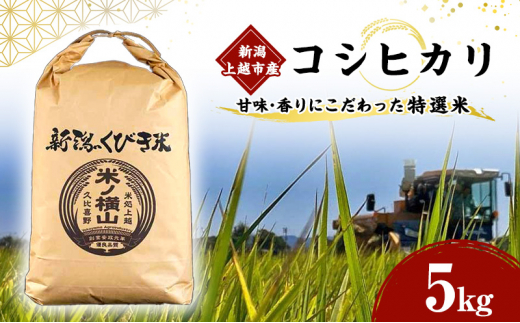 コシヒカリ 【令和5年産】 新潟上越市産コシヒカリ 5kg こしひかり 米 お米 こめ おすすめ ふるさと納税 新潟 新潟県産 にいがた 上越 上越産