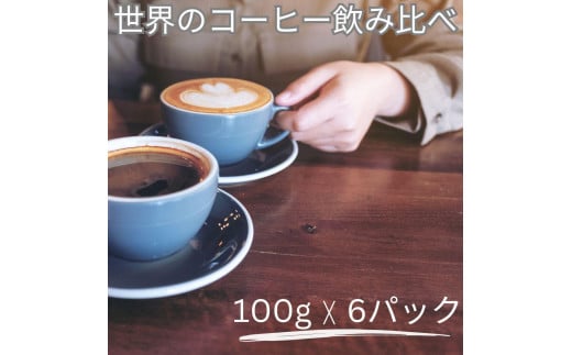 [粉]コーヒー豆 100g×6種類セット 合計600g 注文後焙煎 